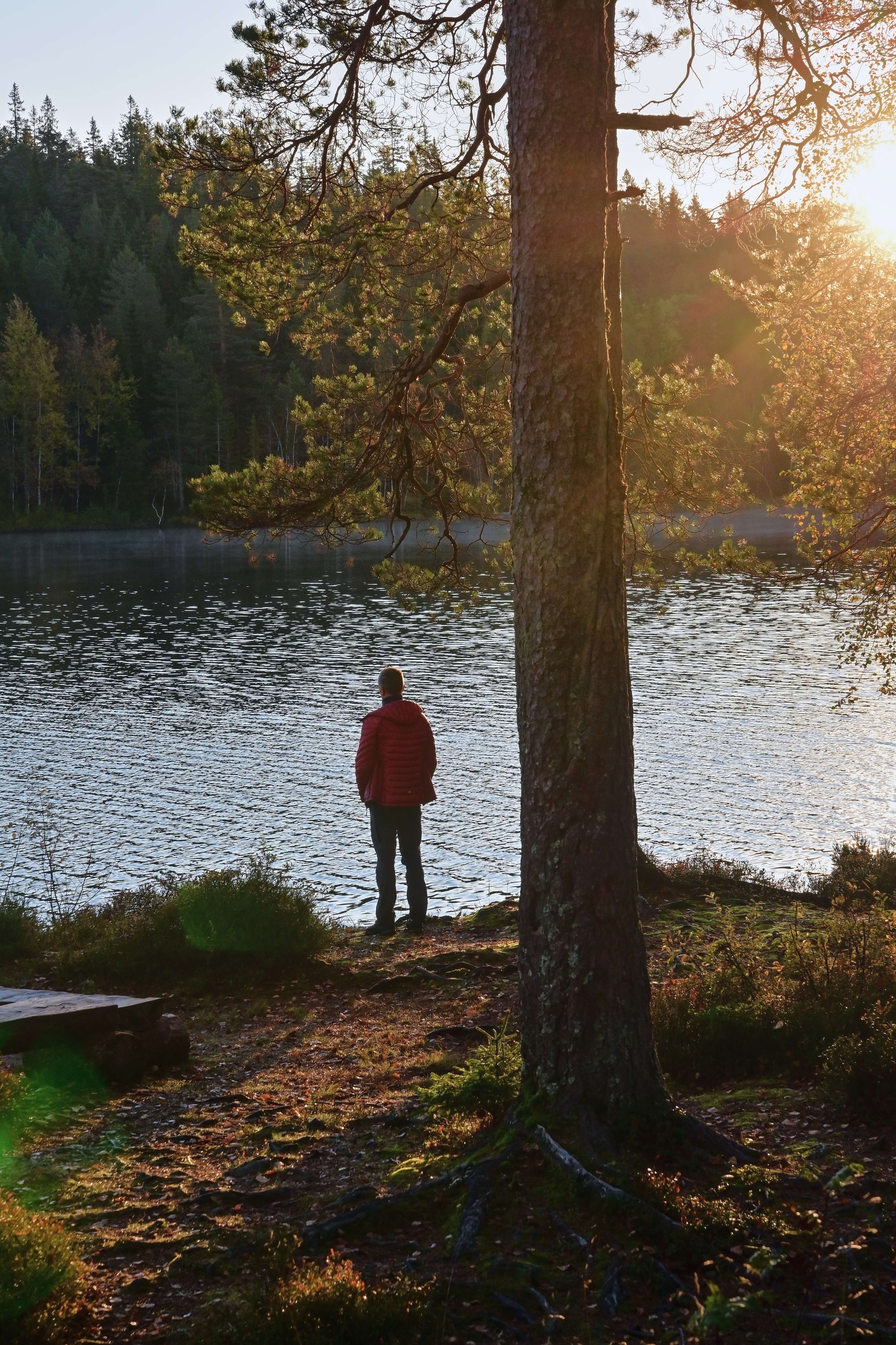 Kobberhaughytta 2025